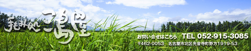 名古屋市北区にある本格リラクゼーションサロン「三島屋」